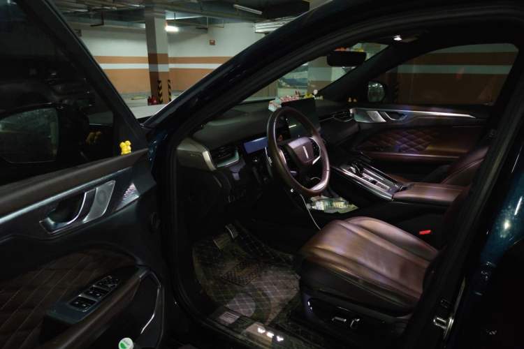 Used Wey Mocha 2021 2.0T Two-Wheel Drive Special Edition Driver Seat