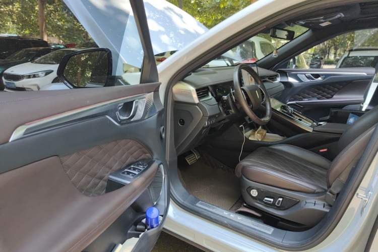 Used Wey Mocha 2021 2.0T Two-Wheel-Drive Premium Edition Driver Seat