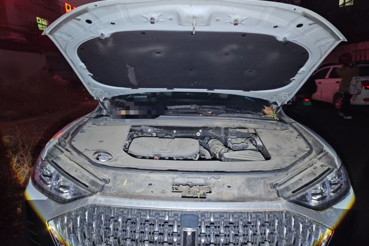 Used Wey Mocha 2021 2.0T Four-Wheel Drive Premium Edition Engine Bay