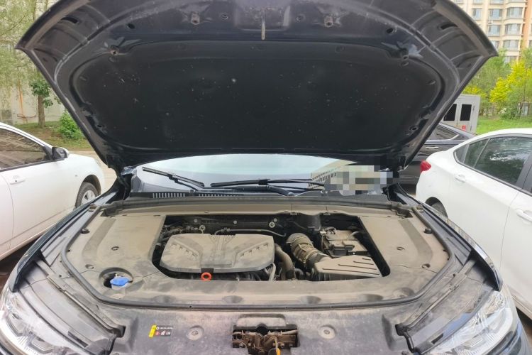 Used Wey Mocha 2021 2.0T Two-Wheel-Drive Ultra-Strong Version Engine Bay