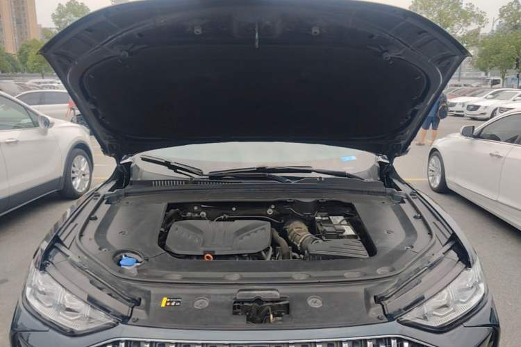 Used Wey Mocha 2021 2.0T Two-Wheel-Drive Premium Edition Engine Bay