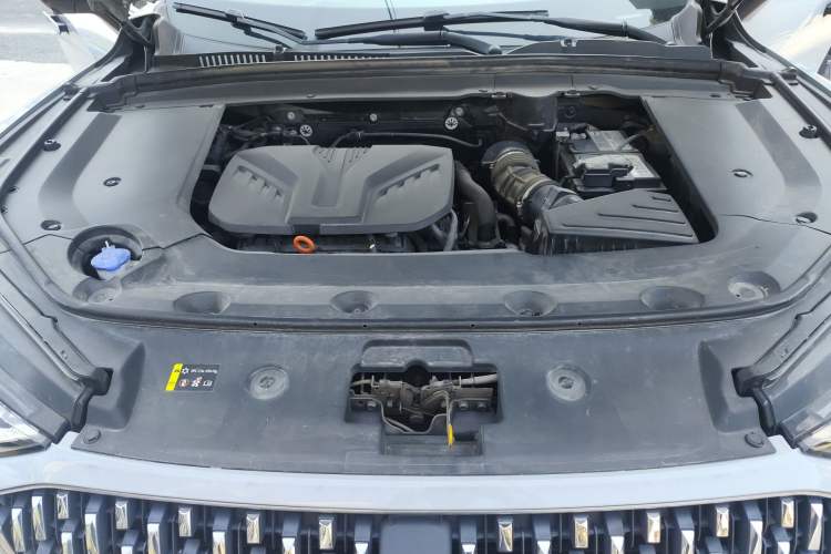 Used Wey Mocha 2021 2.0T Two-Wheel Drive Special Edition Engine Bay