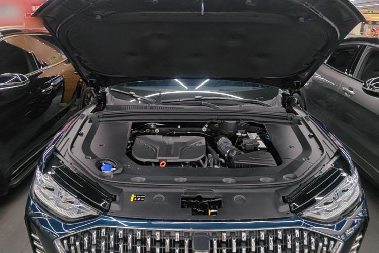 Used Wey Mocha 2021 2.0T Two-Wheel-Drive Premium Edition Engine Bay