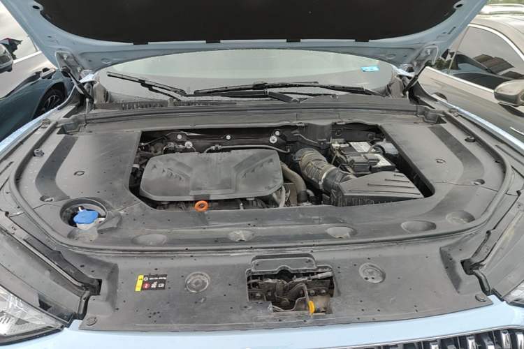 Used Wey Mocha 2021 2.0T Two-Wheel-Drive Ultra-Strong Version Engine Bay