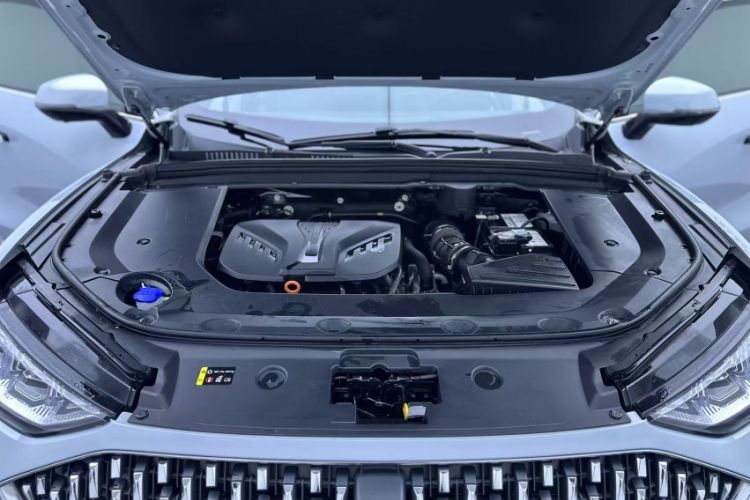 Used Wey Mocha 2021 2.0T Two-Wheel-Drive Ultra-Strong Version Engine Bay