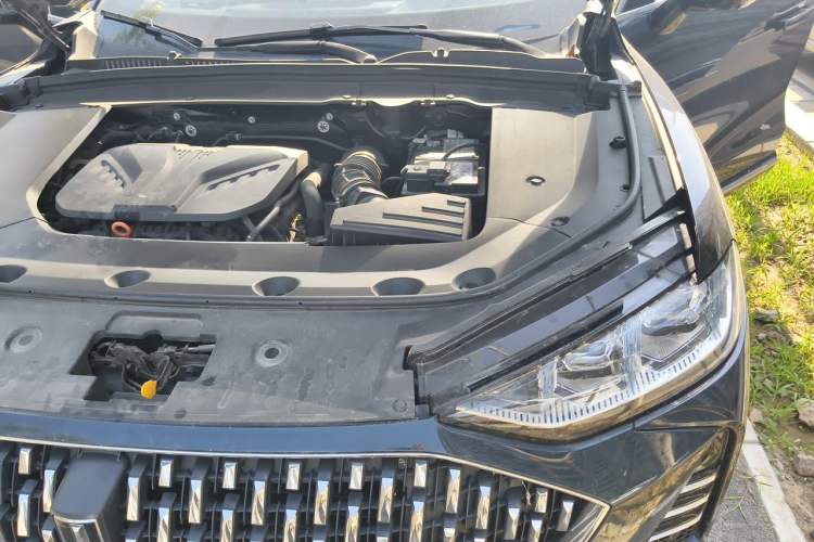 Used Wey Mocha 2021 2.0T Two-Wheel-Drive Ultra-Strong Version Engine Bay Left