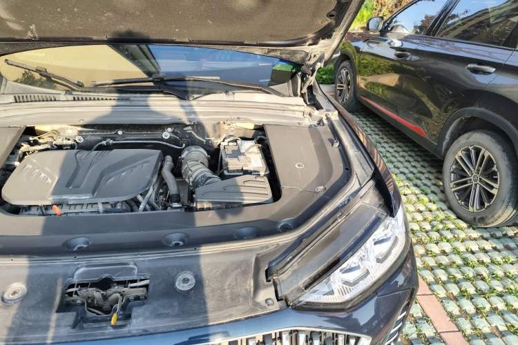 Used Wey Mocha 2021 2.0T Four-Wheel Drive Premium Edition Engine Bay Left