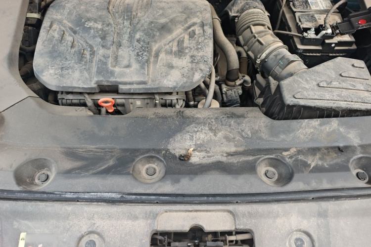 Used Wey Mocha 2021 2.0T Two-Wheel-Drive Premium Edition Engine Bay