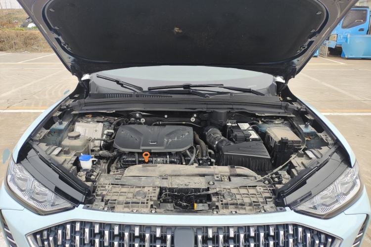 Used Wey Mocha 2021 2.0T Two-Wheel-Drive Ultra-Strong Version Engine Bay