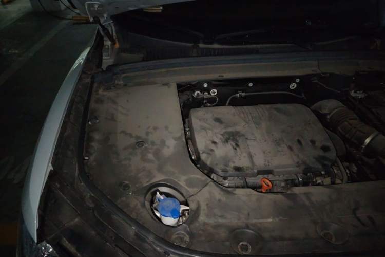 Used Wey Mocha 2021 2.0T Four-Wheel Drive Premium Edition Engine Bay Right