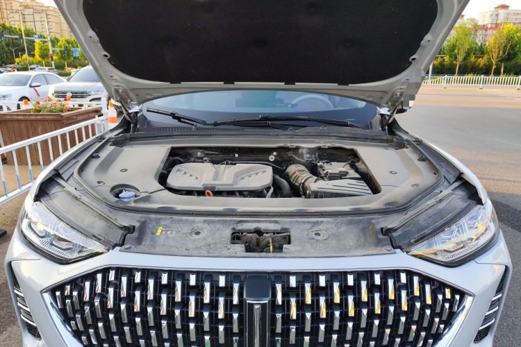 Used Wey Mocha 2021 2.0T Two-Wheel-Drive Premium Edition Engine Bay