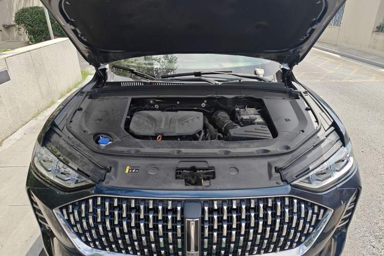 Used Wey Mocha 2021 2.0T Two-Wheel-Drive Ultra-Strong Version Engine Bay