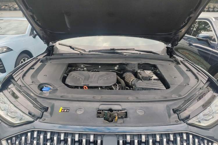 Used Wey Mocha 2021 2.0T Two-Wheel-Drive Premium Edition Engine Bay