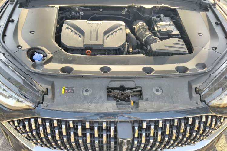 Used Wey Mocha 2021 2.0T Two-Wheel-Drive Ultra-Strong Version Engine Bay