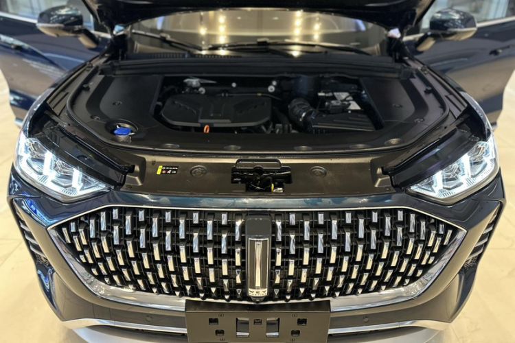 Used Wey Mocha 2021 2.0T Two-Wheel-Drive Premium Edition Engine Bay