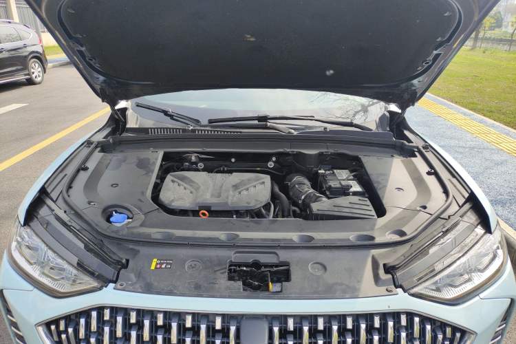 Used Wey Mocha 2021 2.0T Two-Wheel-Drive Ultra-Strong Version Engine Bay