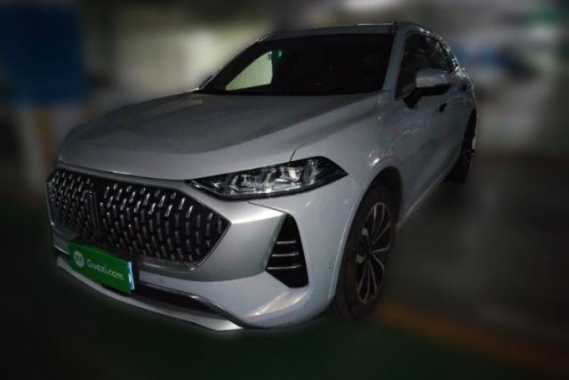 Used Wey Mocha 2021 2.0T Four-Wheel Drive Premium Edition