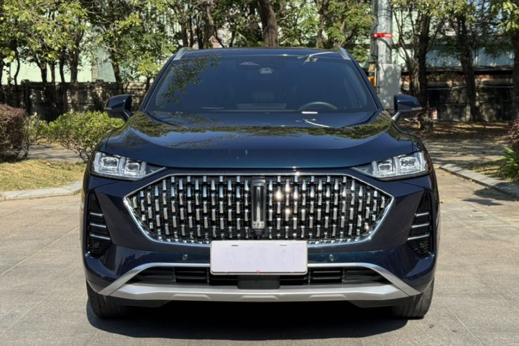 Used Wey Mocha 2021 2.0T Two-Wheel-Drive Premium Edition Exterior 1