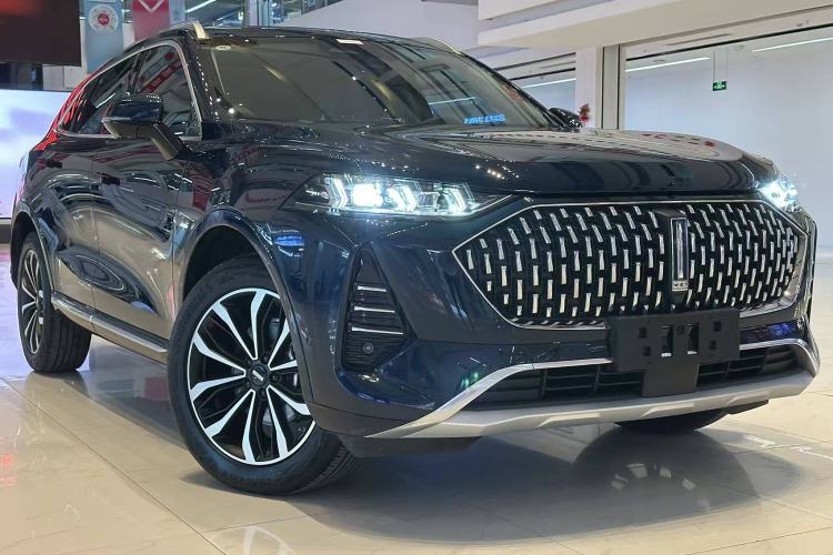 Used Wey Mocha 2021 2.0T Two-Wheel-Drive Premium Edition Exterior 7