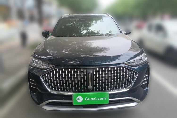 Used Wey Mocha 2021 2.0T Two-Wheel-Drive Premium Edition Front