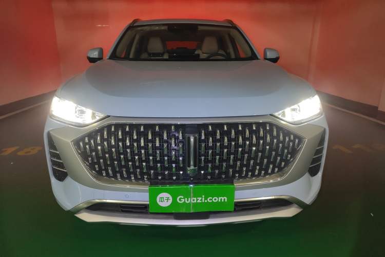 Used Wey Mocha 2021 2.0T Two-Wheel-Drive Premium Edition Front