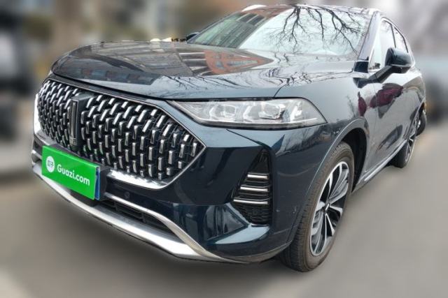Used Wey Mocha 2021 2.0T Two-Wheel-Drive Premium Edition