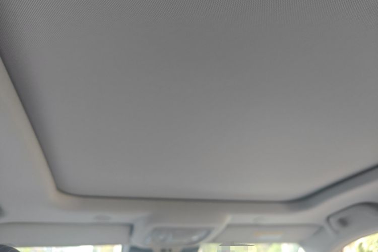 Used Wey Mocha 2021 2.0T Four-Wheel Drive Premium Edition Headliner