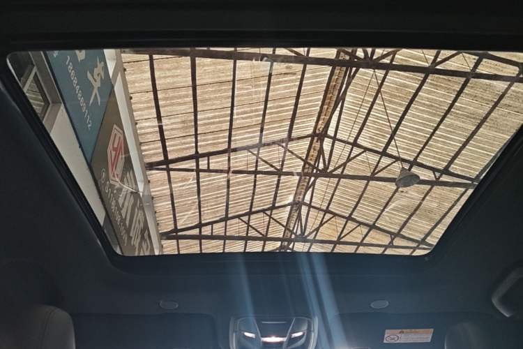 Used Wey Mocha 2021 2.0T Two-Wheel-Drive Premium Edition Headliner