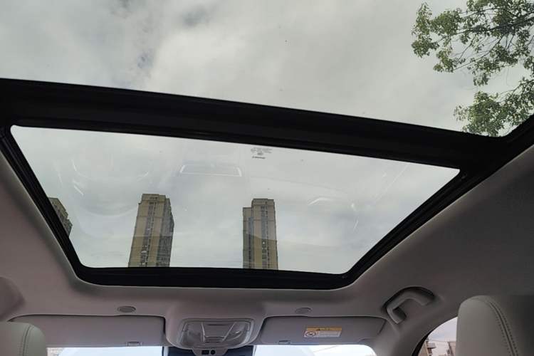 Used Wey Mocha 2021 2.0T Two-Wheel-Drive Premium Edition Headliner