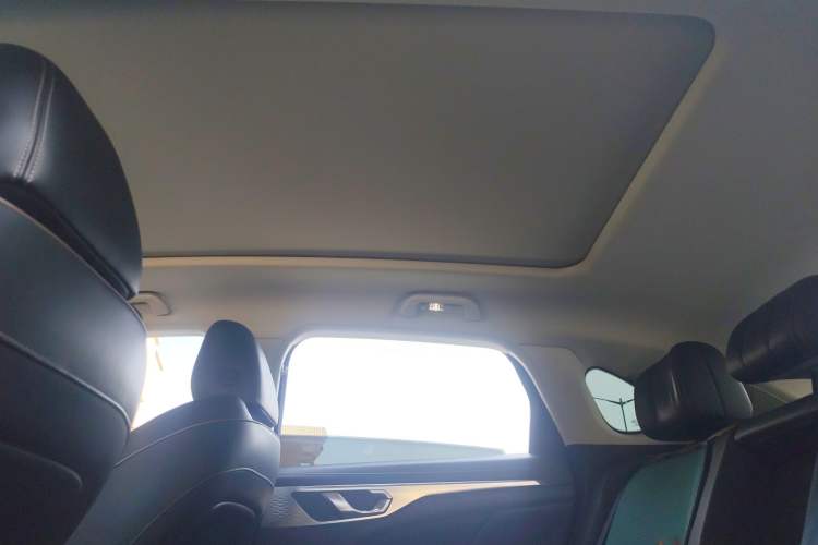 Used Wey Mocha 2021 2.0T Two-Wheel Drive Special Edition Headliner