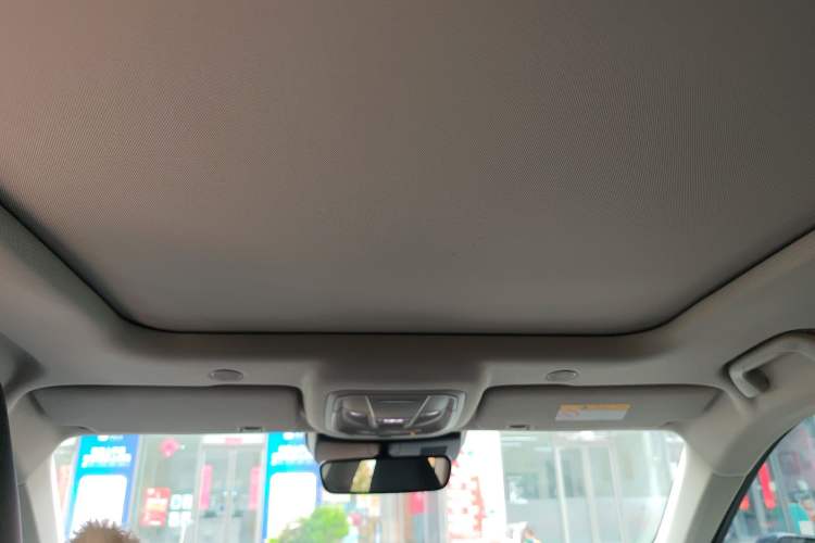 Used Wey Mocha 2021 2.0T Two-Wheel-Drive Ultra-Strong Version Headliner