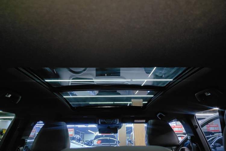 Used Wey Mocha 2021 2.0T Two-Wheel-Drive Premium Edition Headliner