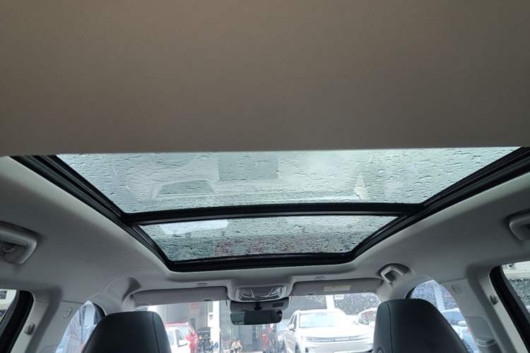 Used Wey Mocha 2021 2.0T Two-Wheel-Drive Ultra-Strong Version Headliner