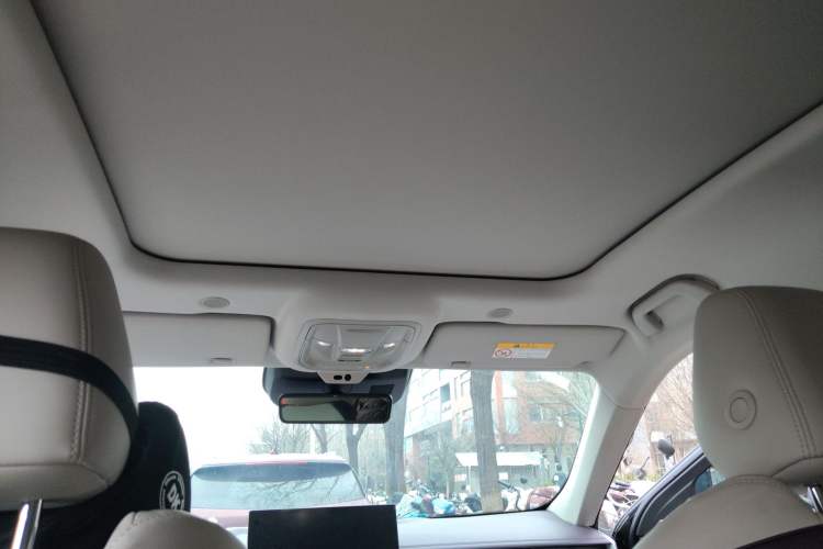 Used Wey Mocha 2021 2.0T Two-Wheel-Drive Premium Edition Headliner