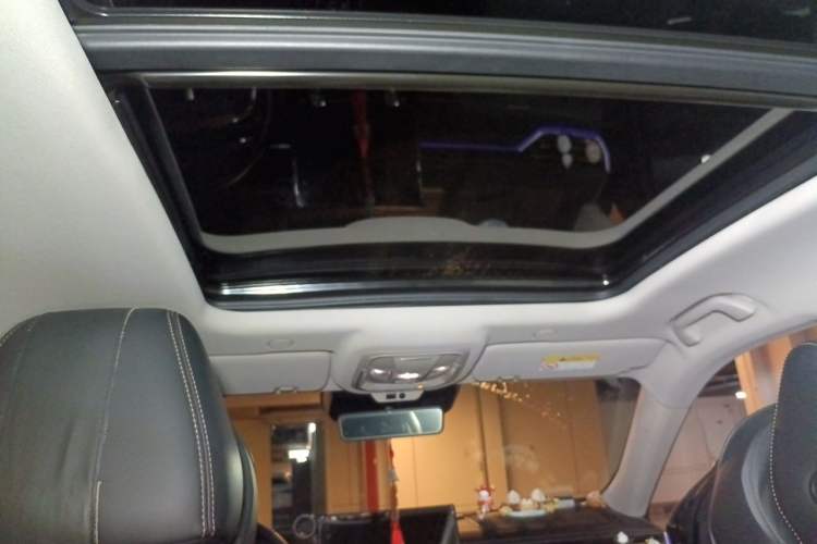Used Wey Mocha 2021 2.0T Two-Wheel-Drive Premium Edition Headliner