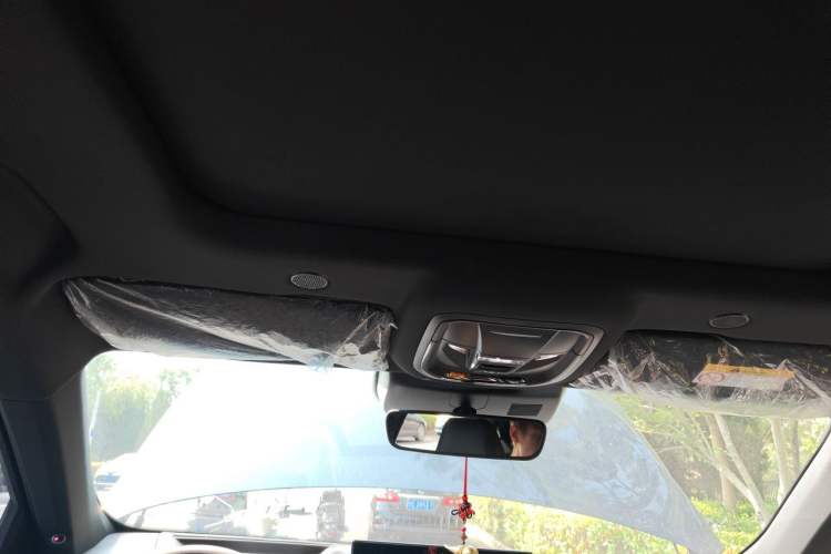 Used Wey Mocha 2021 2.0T Two-Wheel-Drive Ultra-Strong Version Headliner
