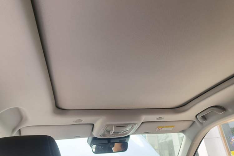 Used Wey Mocha 2021 2.0T Two-Wheel-Drive Ultra-Strong Version Headliner
