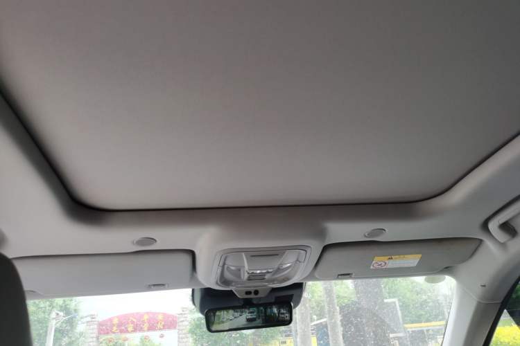 Used Wey Mocha 2021 2.0T Two-Wheel-Drive Premium Edition Headliner