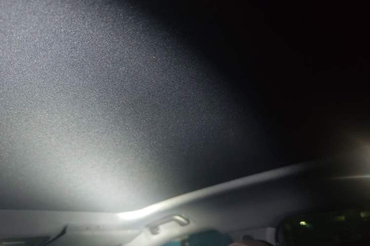 Used Wey Mocha 2021 2.0T Four-Wheel Drive Premium Edition Headliner