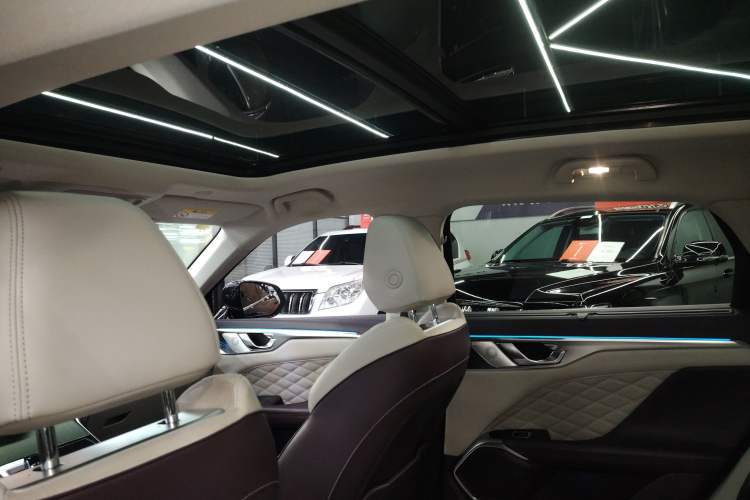 Used Wey Mocha 2021 2.0T Two-Wheel-Drive Premium Edition Headliner