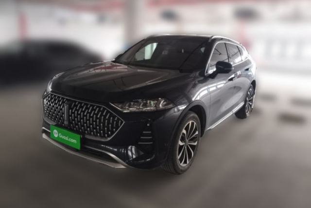 Used Wey Mocha 2021 2.0T Two-Wheel-Drive Premium Edition