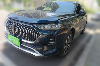 Used Wey Mocha 2021 2.0T Two-Wheel-Drive Premium Edition