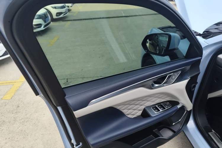 Used Wey Mocha 2021 2.0T Four-Wheel Drive Premium Edition Left Front Door Interior