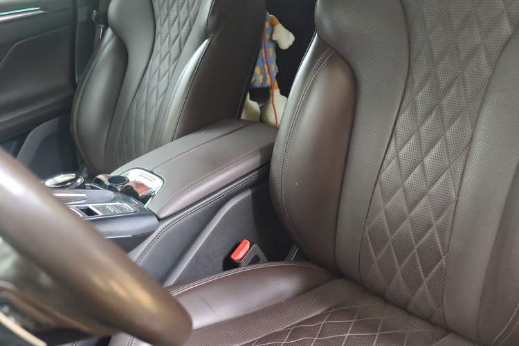 Used Wey Mocha 2021 2.0T Two-Wheel-Drive Premium Edition Left Front Seat