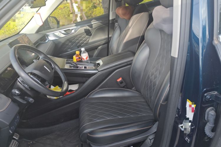 Used Wey Mocha 2021 2.0T Four-Wheel Drive Premium Edition Left Front Seat