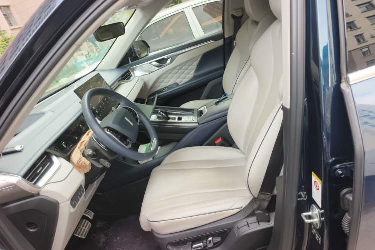 Used Wey Mocha 2021 2.0T Two-Wheel-Drive Ultra-Strong Version Left Front Seat