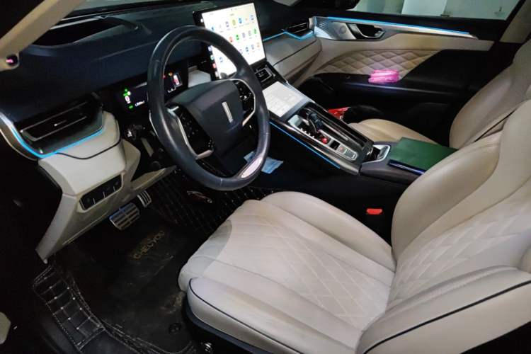 Used Wey Mocha 2021 2.0T Two-Wheel-Drive Premium Edition Left Front Seat