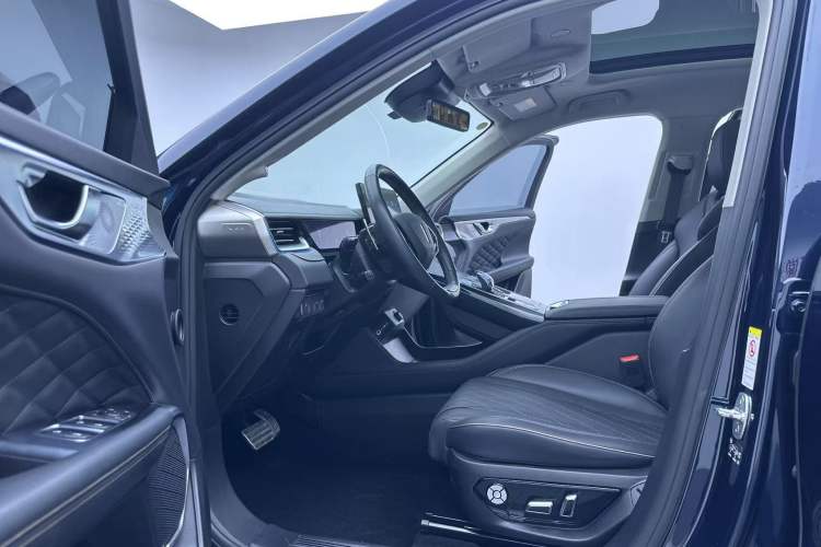 Used Wey Mocha 2021 2.0T Two-Wheel-Drive Premium Edition Left Front Seat