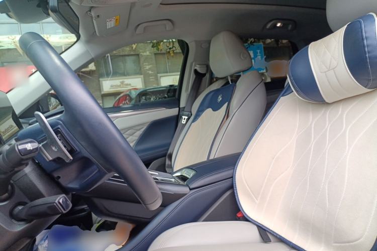 Used Wey Mocha 2021 2.0T Two-Wheel-Drive Premium Edition Left Front Seat