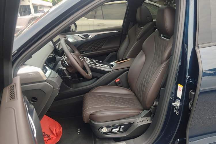 Used Wey Mocha 2021 2.0T Two-Wheel-Drive Premium Edition Left Front Seat